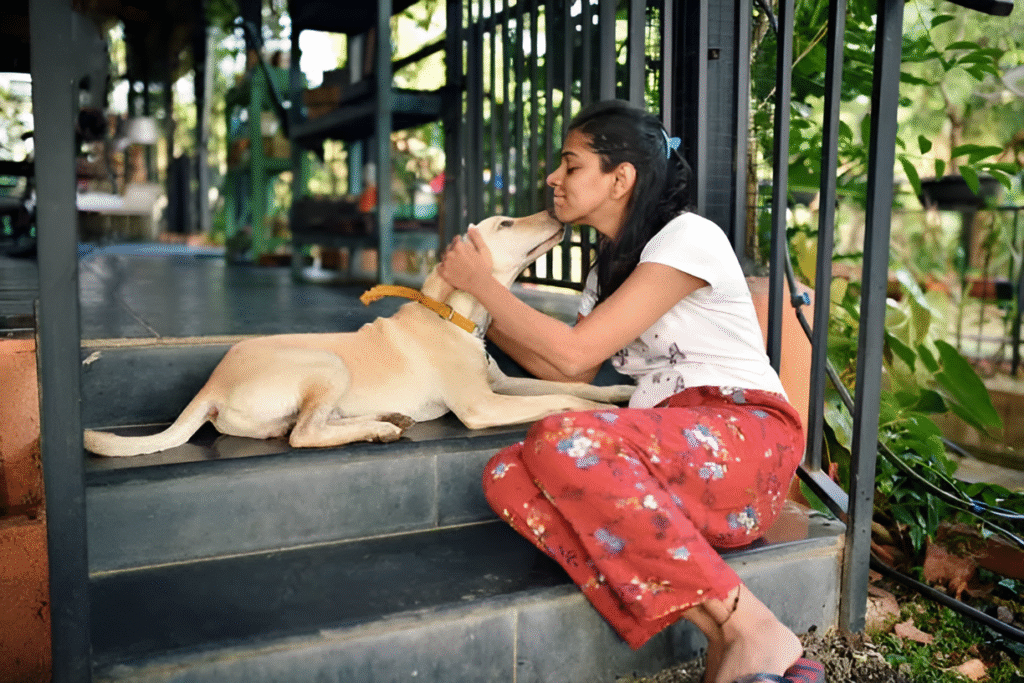 Emergency Pet Care: What to Do Before You Reach the Vet