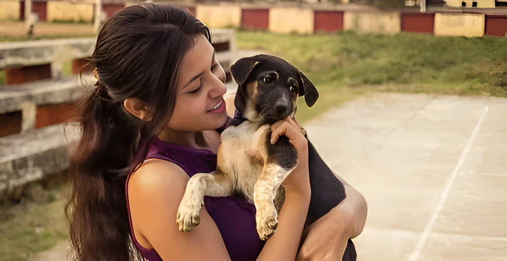 The Importance of Regular Pet Grooming: More Than Just Looks