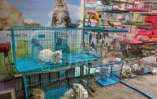 b6ec2c45-1b68-41bc-b0dc-ebd7e668