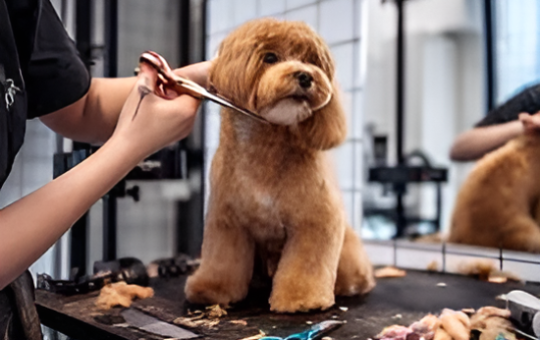 images (16)-Picsart-AiImageEnhancer